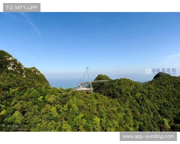 如何通过马来西亚云顶云星剧场官网获取最新演出信息，满足不同观众的多样化娱乐需求